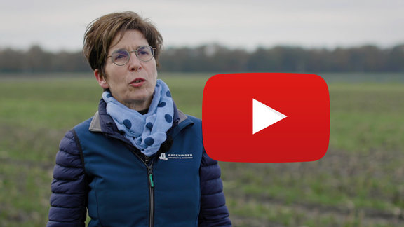 Brigitte Kroonen_onderzoek_biomassa_you_tube.jpg